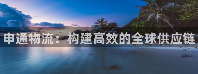 多多28是正规软件吗：申通物流：构建