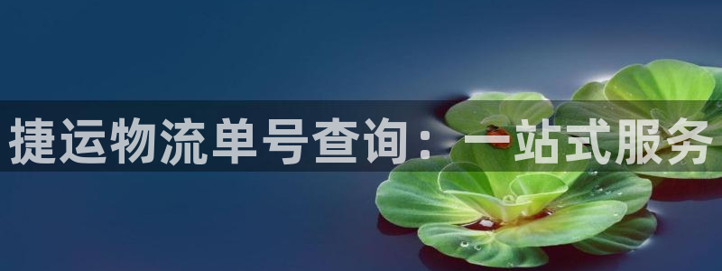 多多28下分了不给钱