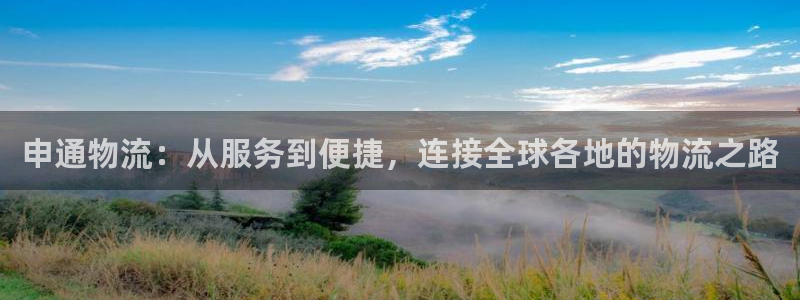 多多28黑吗：申通物流：从服务到便捷