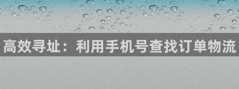 多多28怎么注册下载：高效寻址：利用