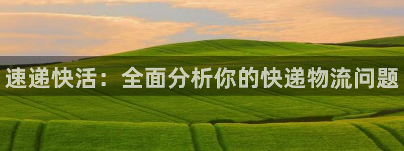 多多28加拿大预测：速递快活：全面分