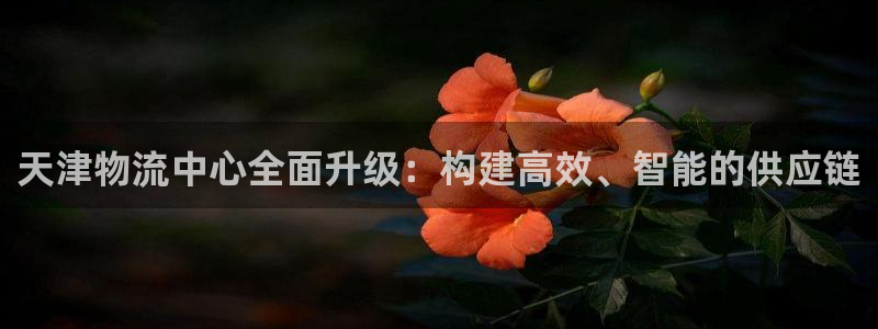 多多28为什么打不开：天津物流中心全面升级：构建高效、智能的