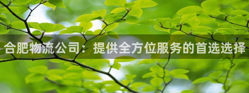 多多28加拿大pc预测