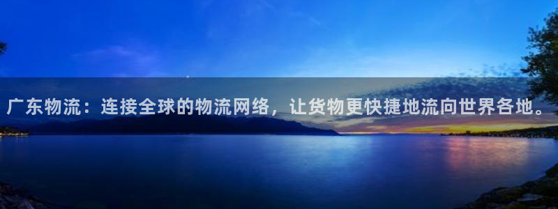 多多28合法吗：广东物流：连接全球的