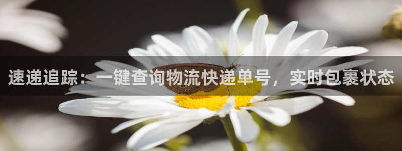 多多28圈：速递追踪：一键查询物流快