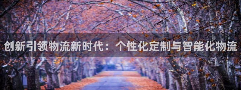多多28人头费：创新引领物流新时代：