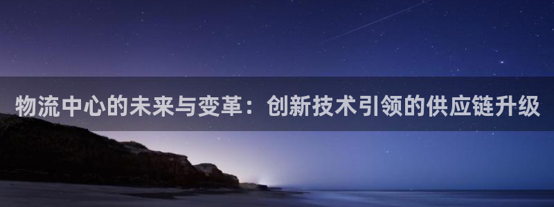 多多28怎么注册游戏名字：物流中心的未来与变革：创新技术引领