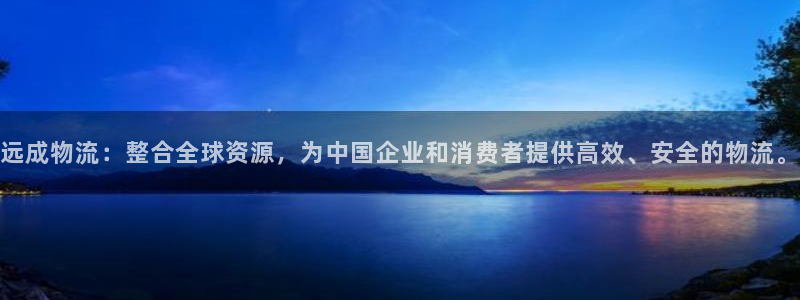 多多28注册上限是啥意思：远成物流：