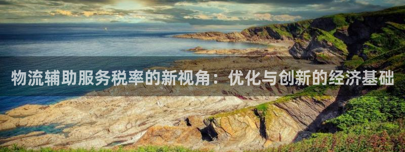 多多28客服一直不回消息怎么办：物流辅助服务税率的新视角：优
