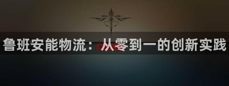 多多28官网下载链接：鲁班安能物流：从零到一的创新实践