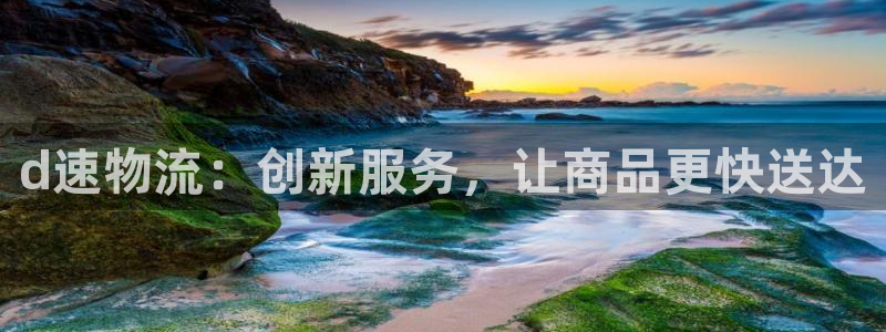多多28口:d速物流:创新服务,让商