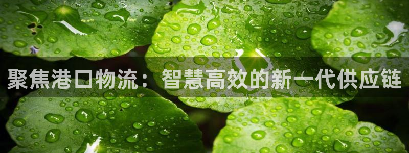 多多28官网下载谁有：聚焦港口物流：智慧高效的新一代供应链
