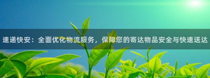 多多28加拿大模拟器:速递快安:全面