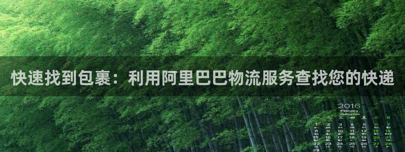 多多28加拿大真假怎么看
