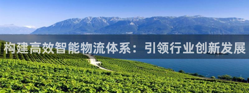 多多28电子:构建高效智能物流体系: