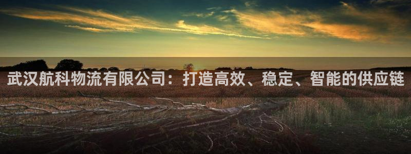 多多28登录网:武汉航科物流有限公司