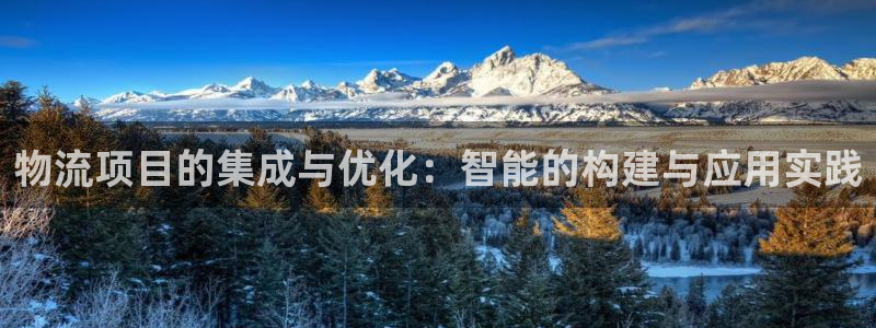 多多28官网平台：物流项目的集成与优化：智能的构建与应用实践