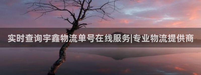 多多28官网多少:实时查询宇鑫物流单