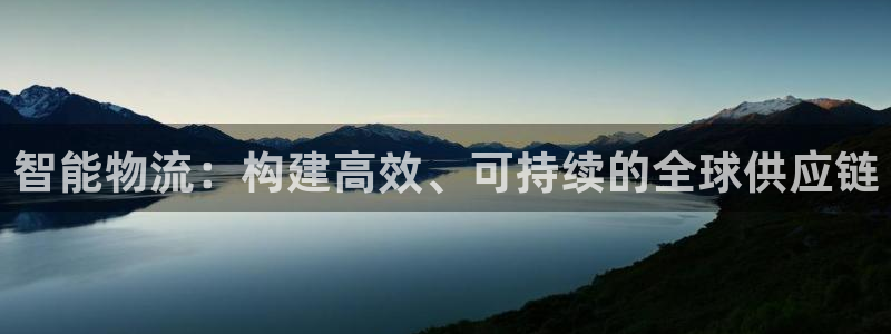 多多28怎么注册账号和密码:智能物流