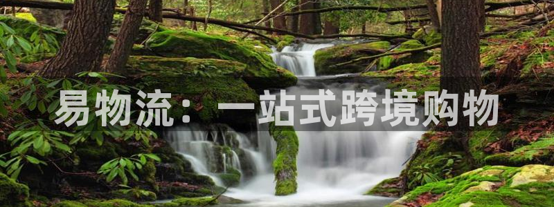 多多28下载体育:易物流:一站式跨境