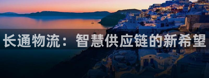 多多28电子:长通物流:智慧供应链的