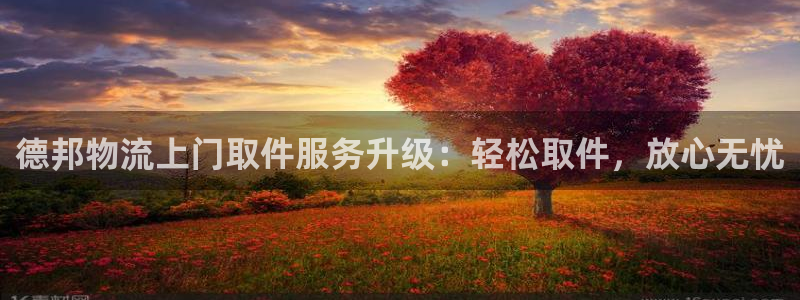 多多28是南宫旗下的吗:德邦物流上门