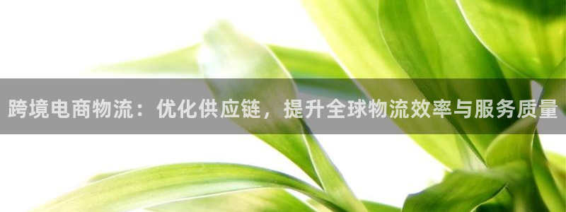 多多28登录用户名登录不上：跨境电商