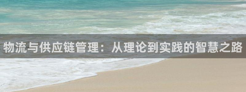 多多28代理落网