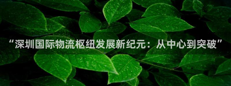 多多28PG电子游戏：“深圳国际物流