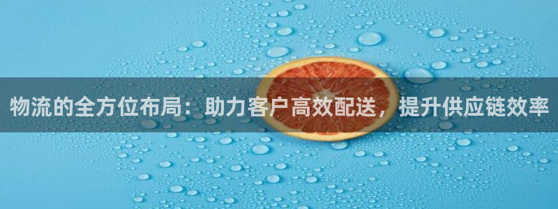 多多28注册限制怎么解除：物流的全方