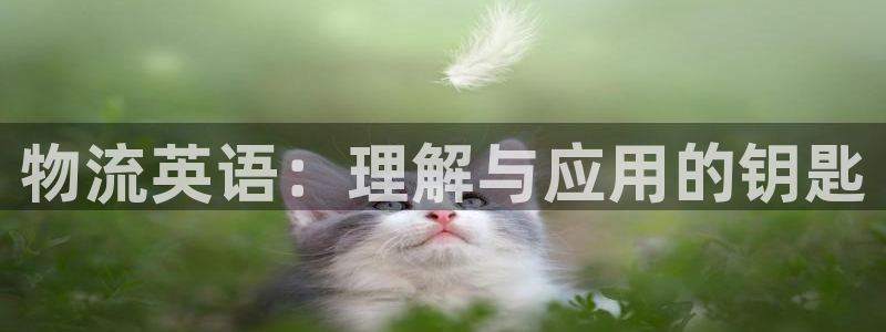 多多28注册链接入口：物流英语：理解