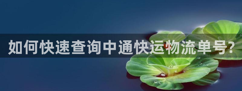 多多28怎么注册游戏名字：如何快速查