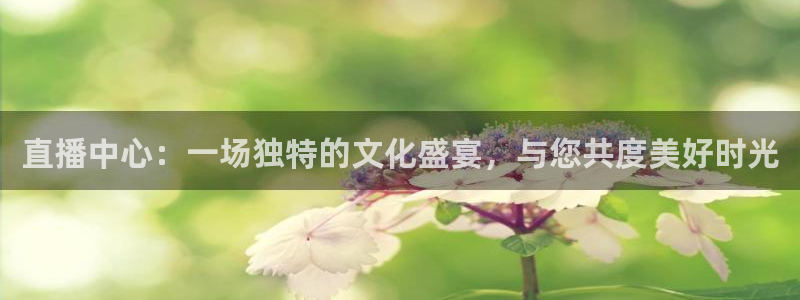 9255tv直播无插件nba：直播中心：一场独特的文化盛宴，与您共度美好时光