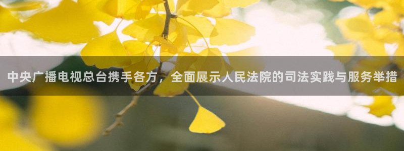 9255tv直播无插件nba：中央广播电视总台携手各方，全面展示人民法院的司法实践与服务举措