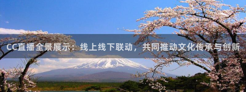 9255tv直播无插件nba：CC直播全景展示：线上线下联动，共同推动文化传承与创新