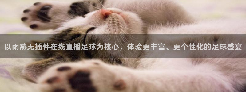 9255tv直播nba在线直播：以雨燕无插件在线直播足球为核心，体验更丰富、更个性化的足球盛宴