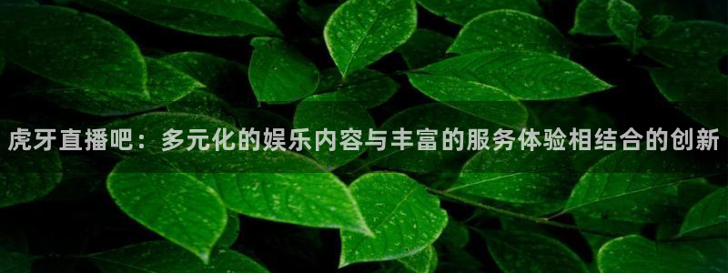 9255tv直播无插件nba：虎牙直播吧：多元化的娱乐内容与丰富的服务体验相结合的创新
