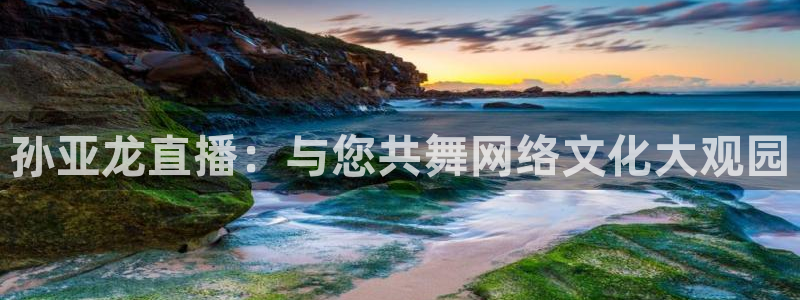 9255tv直播nba在线直播：孙亚龙直播：与您共舞网络文化大观园