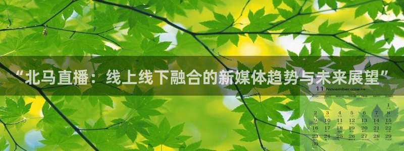 9255tv直播无插件nba：“北马直播：线上线下融合的新媒体趋势与未来展望”