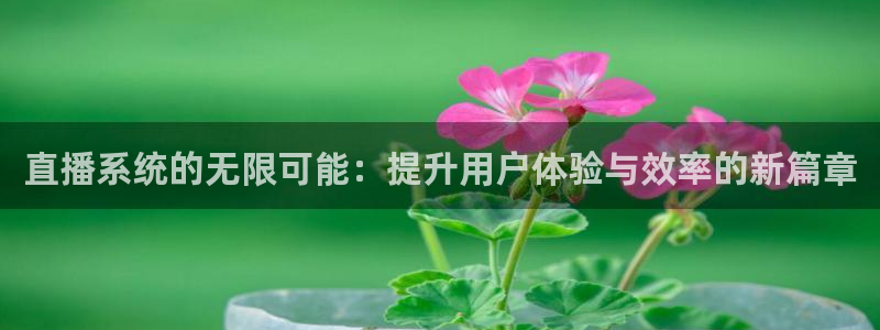 9255tv直播nba在线观看