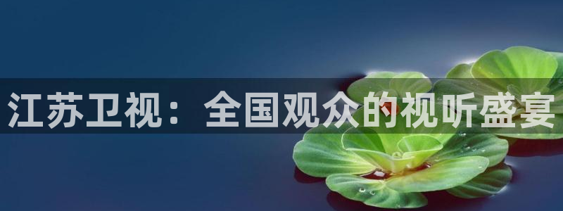 9255tv直播无插件nba：江苏卫视：全国观众的视听盛宴
